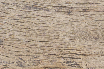 Old wood texture background. Floor surface