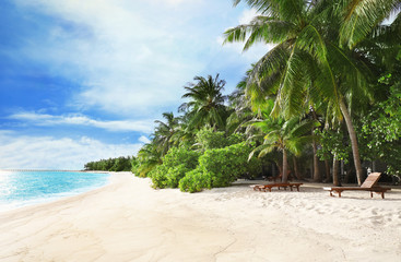 View of beautiful beach at tropical resort