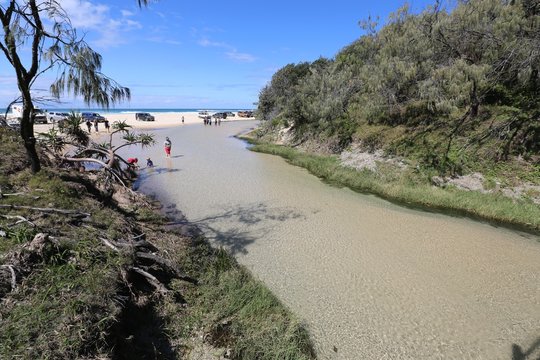 Eli Creek on Fraser Island in Queensland Australia