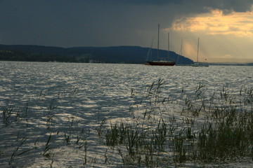 Seeufer