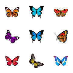 Fototapeta na wymiar Realistic Bluewing, American Painted Lady, Common Blue And Other Vector Elements. Set Of Butterfly Realistic Symbols Also Includes American, Pink, Purple Objects.