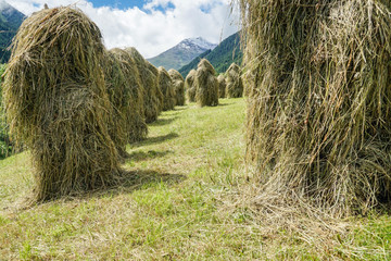 heuernte © fotoart-wallraf