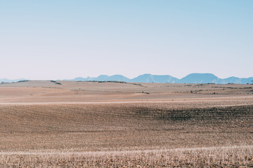 Karoo farms