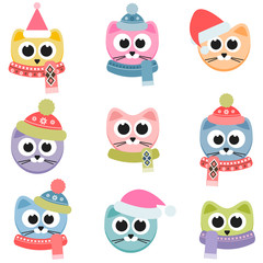 Cats with winter clothing isolated on white