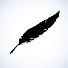 Vector drawing dark bird feather