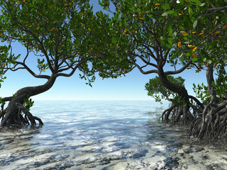 Red mangroves on Florida coast 3d rendering - 165540842