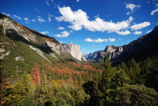 tunnel view