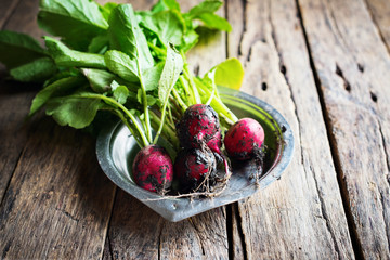 Bright Organic Dirty Radish Metal Plate Top View