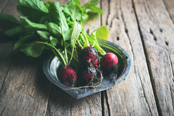 Bright Organic Dirty Radish Metal Plate Top View