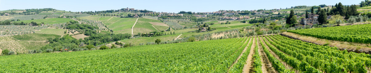 Fototapeta na wymiar Rural landscape of Chianti vineyards on Tuscany