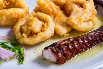 Squid and octopus. Greek cuisine