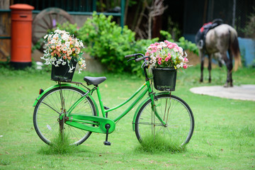 Fototapeta na wymiar A Green bicycle has colorful flowers in basket