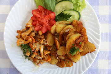 Gericht mit Pilzen und Bratkartoffeln mit gemischtem Salat auf karierter Tischdecke 