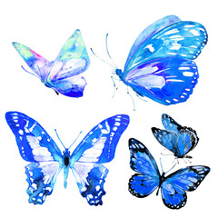 beautiful butterflies, set,watercolor,isolated on a white