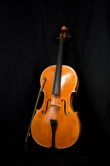 Fototapeta na wymiar Cello neutral
