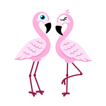 Pink flamingo isolated on white background. Vector illustration