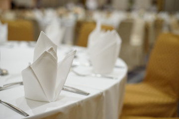 serviette on dinner