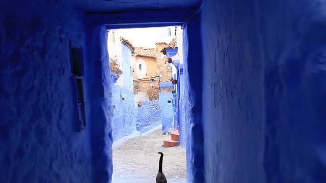 POV, walking in blue town Chefchaouen Chaouen / Morocco, first point of view