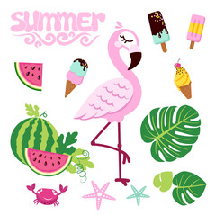 Pink flamingo isolated on white background with ice creams and watermelons. Vector illustration