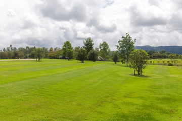 Landscape of Green lawn in a beautiful garden