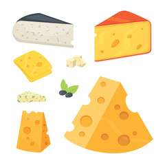Cheese types in cartoon style vector illustration icons.