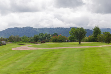 Landscape of Green lawn in a beautiful garden