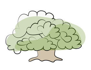 Green tree sketch. Vector illustration, isolated on white background.