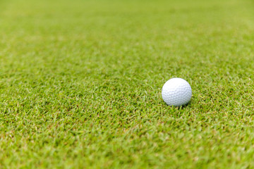 Golf ball on green grass on golf course
