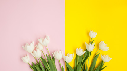 Pink and yellow surface with tulips