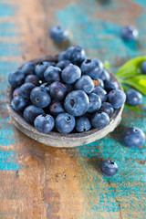Blueberry antioxidant organic superfood in a bowl concept for healthy eating and nutrition