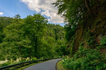 Fototapeta na wymiar Road in the mountains, Bohemia
