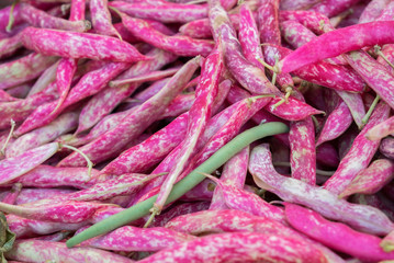Red sweet peas  for sale at local street market. Provence. France
