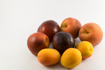 plums, peaches and apricots on white background