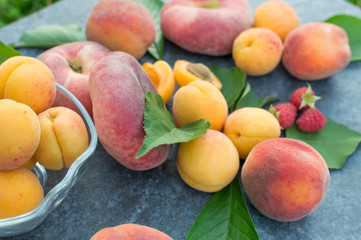Apricot, Raspberry, Peach and Nectarine with Leaves