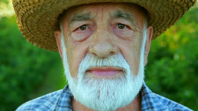 An old farmer with a beard on the field. Portrait of a farmer in a hat