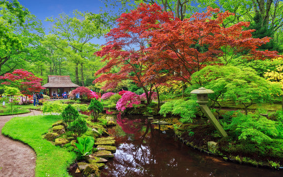 Beautiful Japanese garden in parkland Clingendael in Wassenaar, The Netherlands © dennisvdwater