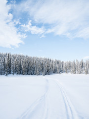 Obraz premium Winter in Norway