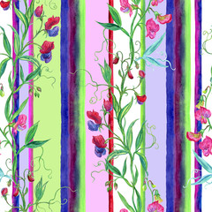 Seamless watercolor pattern of sweet pea and colorful stripes on a white background.