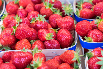 Fresh organic strawberries for sale at local street market. Provence. France