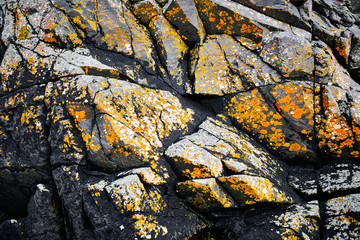 Cliffs and rocks covered with moss at the coast in Donegal Ireland