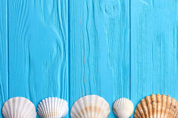 Fototapeta na wymiar Row of seashells, blue background. Five scallops on wooden floor.