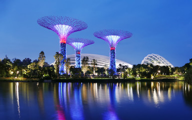 Fototapeta na wymiar Arbres à Gardens by the Bay, Singapour