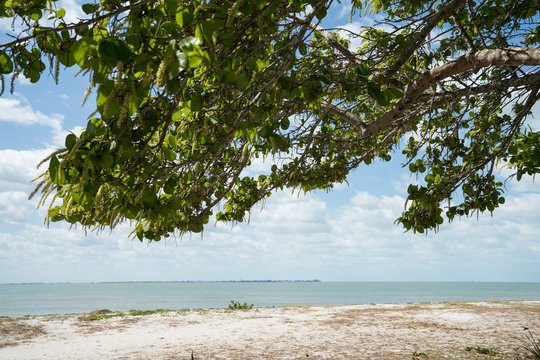 Fort De Soto In Florida