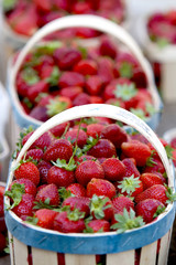 Erdbeeren (Fragaria)