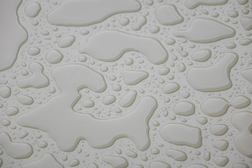 Water drops on white  blackground .