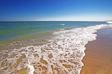 beach and beautiful tropical sea