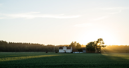 Sunset in Vestfold