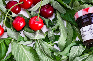 background: the leaves of mint and cherry on white wooden background, top view.