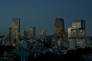Fototapeta na wymiar マジックアワーで染まる東京のビル群