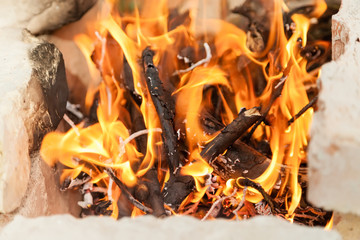 Burning firewood in the fire